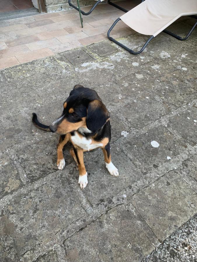 Alloggio Da Fazanca Eremo  Luaran gambar